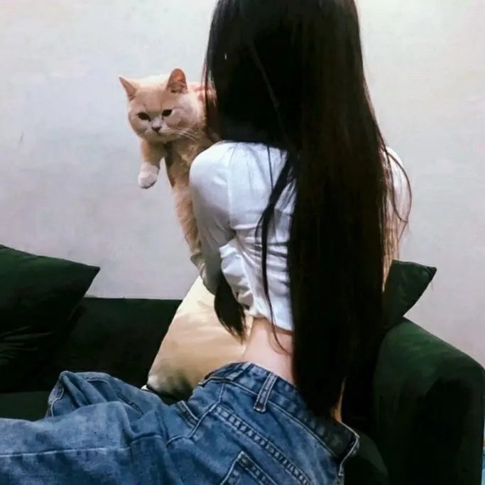 我的机器人女友