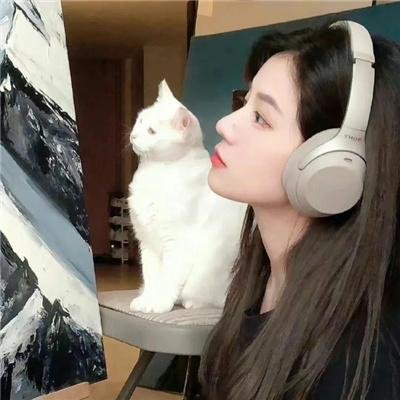 九个完美陌生人第一季