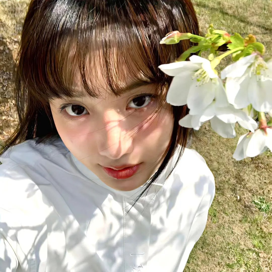 苍兰诀动画版